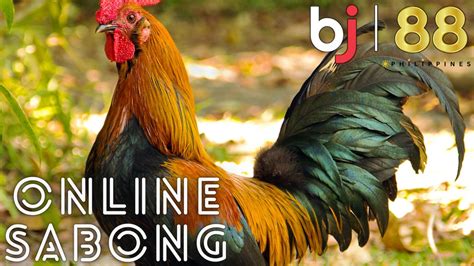 arena sabong worldwide login|Sabong Arena.
